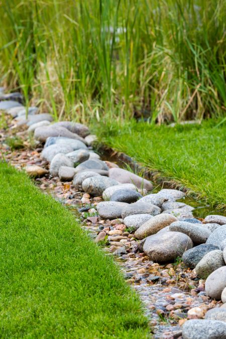 5 Signs Your Yard in Athens Needs a Drainage Solution