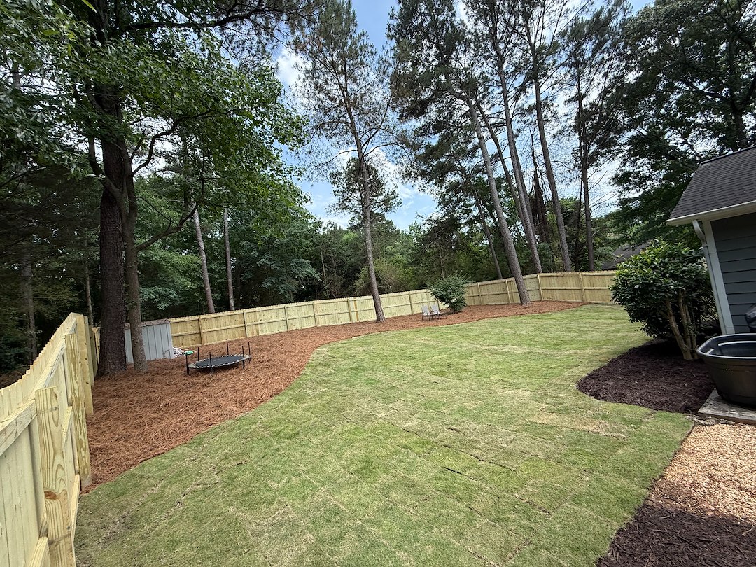 Full Backyard Renovation in Athens