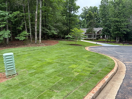Sod Installation